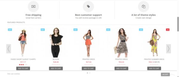 E-commerce theme