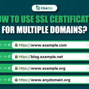 Multi domain SSL